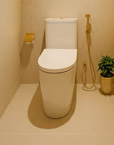 Shattaf Bidet Spray Brass Brushed Gold STELLA