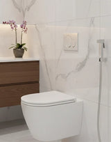 Shattaf Bidet Spray Brass Chrome  STELLA