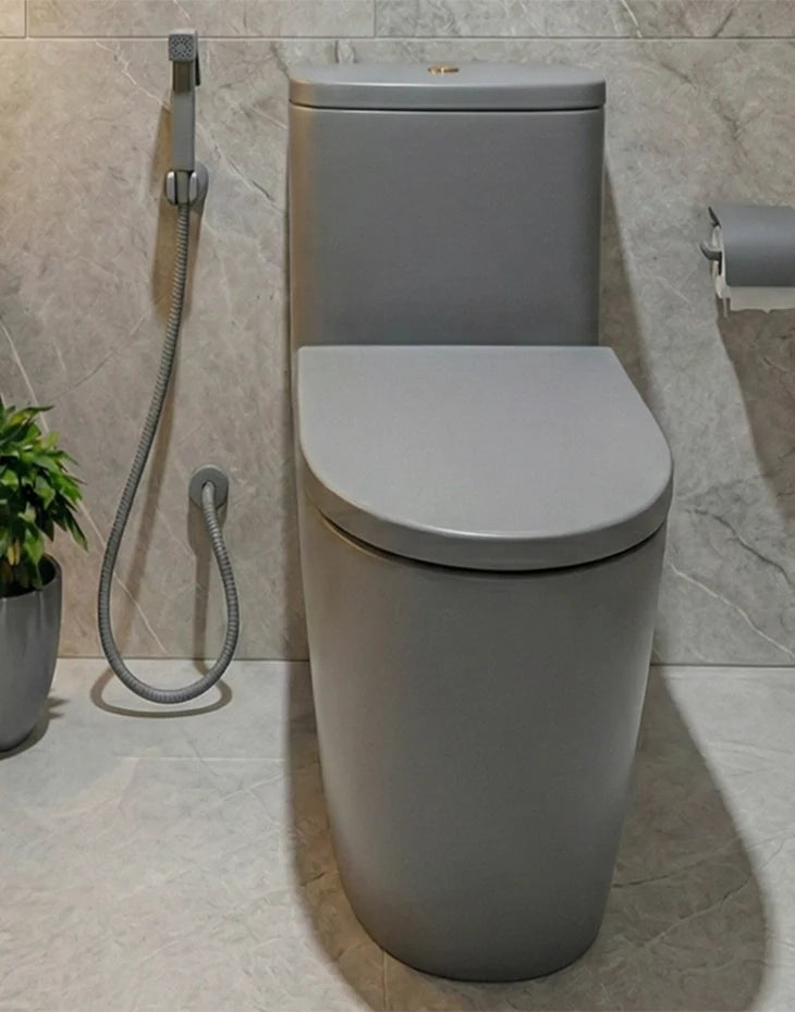 Shattaf Bidet Spray Brass Gray STELLA