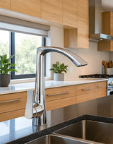 Kitchen Faucet Mixer Gooseneck ROSSO