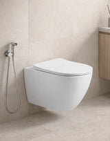 Wall Hung P trap Water Closet Oval 535 x 360 mm