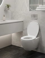 Toilet Seat and Cover 404x356 mm