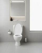 Toilet Seat and Cover 458x363 mm
