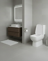 Toilet Seat and Cover 460x356 mm