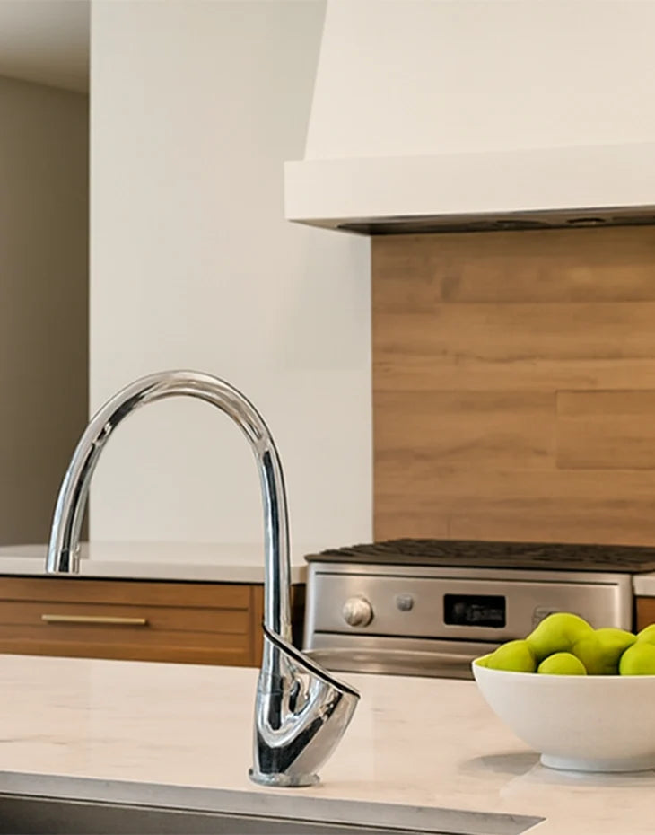 Kitchen Faucet Mixer Gooseneck ELEKTRA