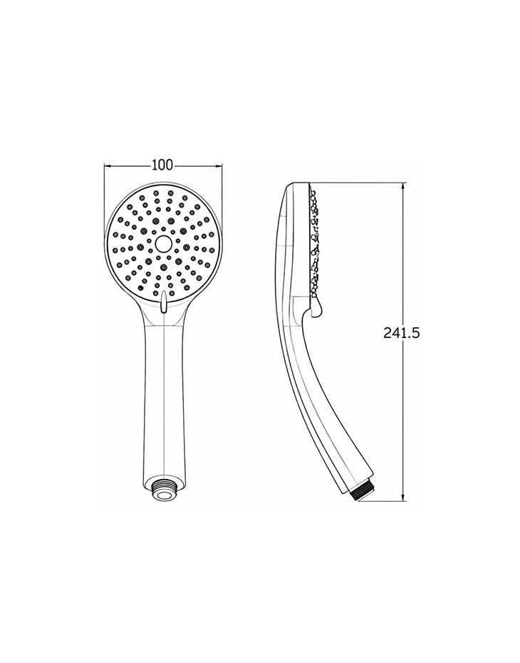 Hand Shower Head CITRA II